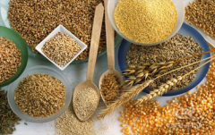 <b>糧食行業(yè)選擇什么樣的振動(dòng)篩比較合適？</b>